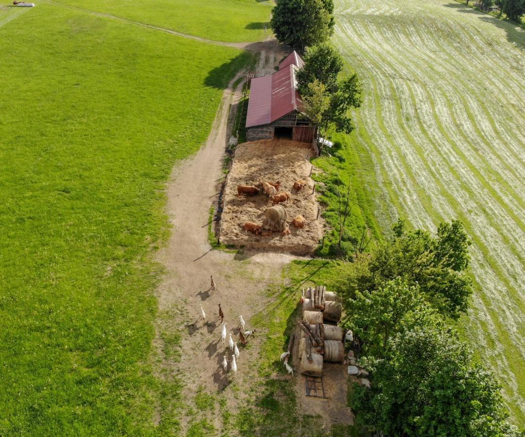 Dylewianka Villa Wysoka Wies Bagian luar foto