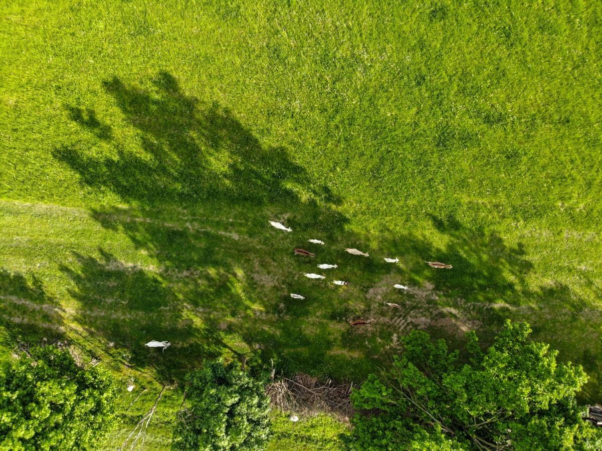 Dylewianka Villa Wysoka Wies Bagian luar foto