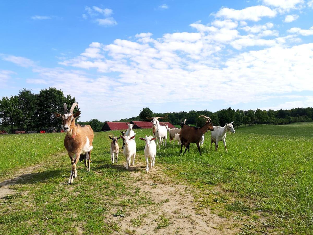Dylewianka Villa Wysoka Wies Bagian luar foto