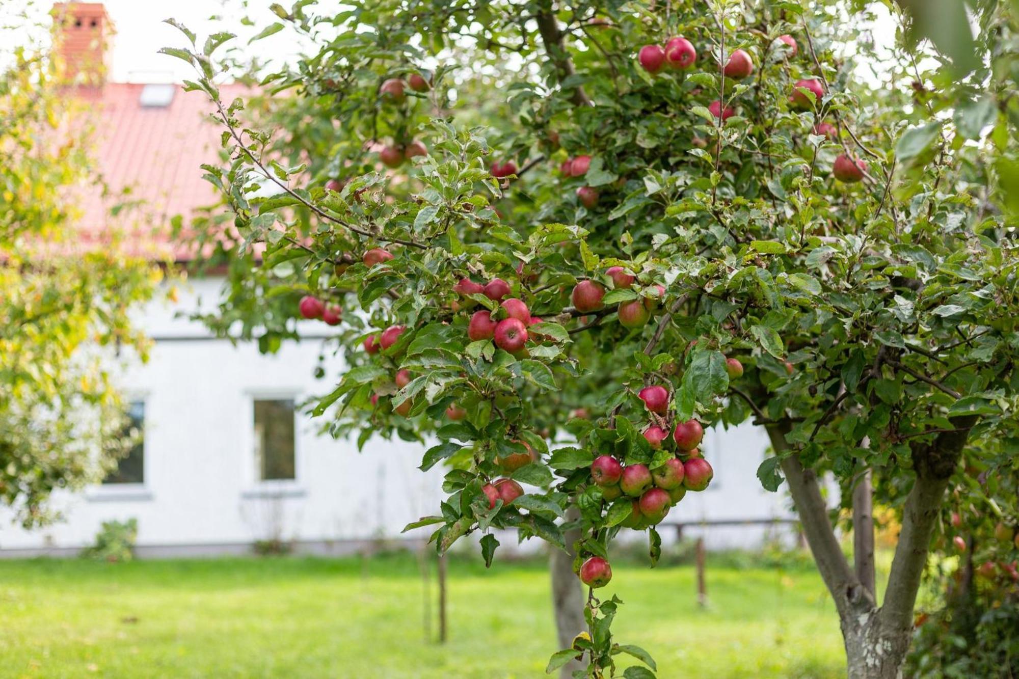 Dylewianka Villa Wysoka Wies Bagian luar foto