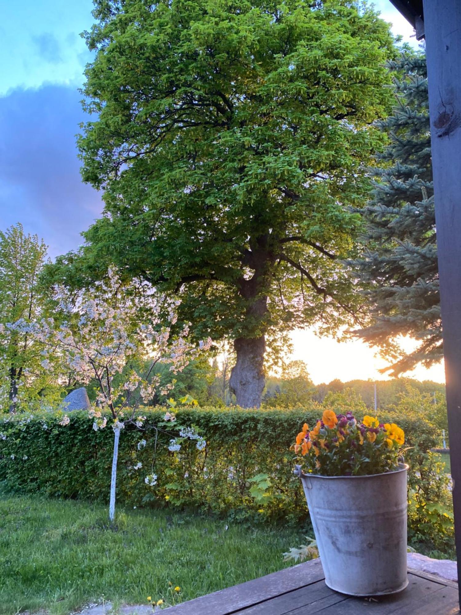 Dylewianka Villa Wysoka Wies Bagian luar foto