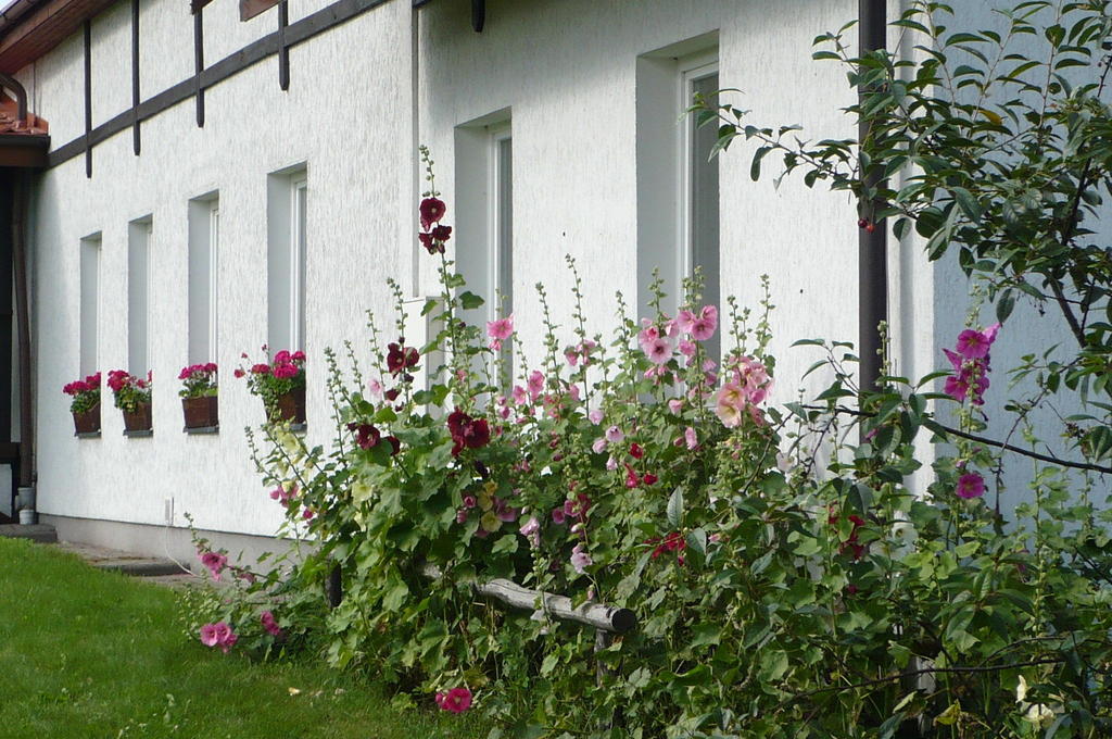 Dylewianka Villa Wysoka Wies Bagian luar foto