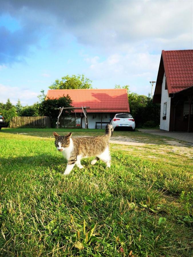 Dylewianka Villa Wysoka Wies Bagian luar foto